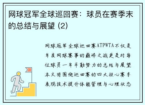 网球冠军全球巡回赛：球员在赛季末的总结与展望 (2)